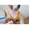 ZippyPaws Dog Birthday Gift Bandana & Bone - Cute Accessories for Small, Medium, & Large Dogs, Stuffed Plush Toy, Machine Washable Handkerchief - 4 of 4