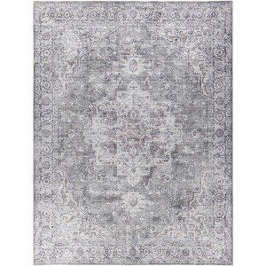Nourison New Concept Washables Vintage Indoor Area Rug - 1 of 4
