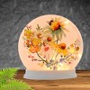 Stony Creek 7.0 Inch Daisy Bee Lit Round Orb Electric Bumble Flowers Novelty Sculpture Lights - 2 of 3