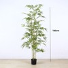 Artificial Bamboo Tree, Faux Bamboo Plants in Pot, Fake Bamboo Plant with Trunk and Lifelike Leaves, Floor Greenery Artificial Plant for Home - 2 of 4