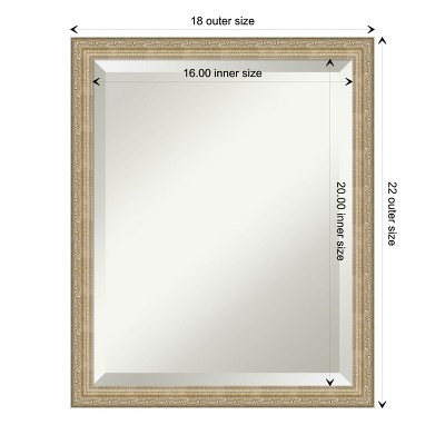 Paris Champagne Bronze Brushed Framed Wall Mirror
