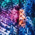 prismatic python