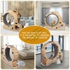 6-in-1 Wooden Cat Exercise Wheel with Feeding Station and with Silent Wheel,Indoor Cat Activity Center – LAOTIES - 3 of 4