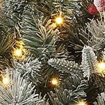 nine-headed bird base