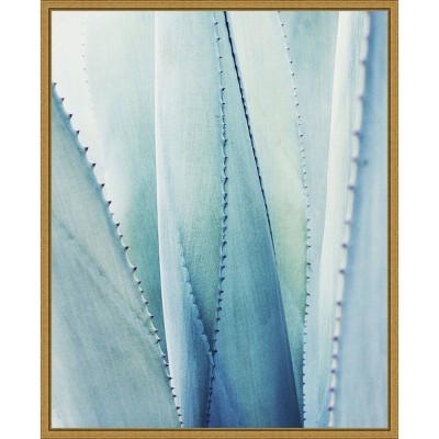 16" x 20" Pale Agave No.1 by Lupen Grainne Framed Canvas Wall Art Blue - Amanti Art