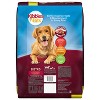 Kibbles 'n Bits Bistro Beef, Spring Vegetable & Apple Flavors Adult Complete & Balanced Dry Dog Food - 16 lbs - 2 of 4