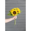Gulches Set of 3 Faux Sunflower Bundles - 14.2x14.2x15 Inch Realistic Floral Stems, 80% Polyester & Wire Artificial Flowers - 4 of 4