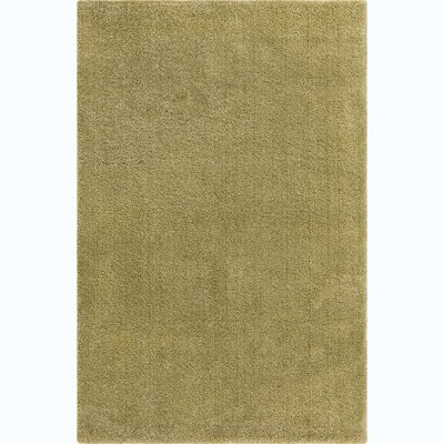 Calabasas Light Green 5' x 7' Plush Shag Area Rug