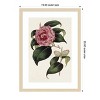 Amanti Art Pink Floral Mix III by Bette Ridgeway Wood Framed Wall Art Print - 4 of 4