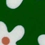 green white flowers