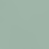 lily pad green