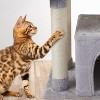Cute Cat Tree Kitten Cat Tower for Indoor Cat Condo Sisal Scratching Posts - 4 of 4