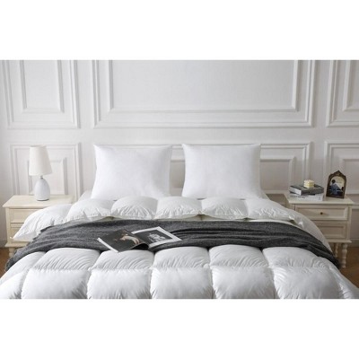 Euro Square Hypoallergenic Down-Alternative Pillow with Cotton Cover