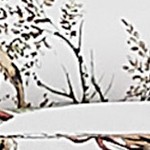white christmas