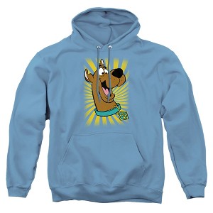 Scooby Doo T-Shirt Adult Pull-Over Hoodie - 1 of 4