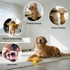 Allforpaws Squeaky Latex Dog Toys Filled with Crepe Paper Plush Wings, Soft Wing Duck, 11.22", Yellow - 4 of 4