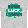 St. Patrick's Day Good Luck Charm Crew Neck Short Sleeve Gray Heather Youth T-shirt - 2 of 2