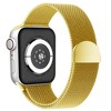 Waloo Magnetic Mesh Band For Apple Watch Series 10/9/8/7/6/5/4/3/2/1/SE/Ultra - 2 of 3