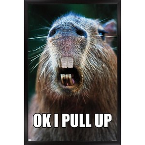 Trends International Capybara - Pull Up Framed Wall Poster Prints - 1 of 4