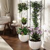21x72in Metal Garden Trelli for Climbing Rose, Vine, Vegetable & Flower, Rustproof Plant Support for Potted Plant, Houseplant & Patio Gardening, 4Pcs - 4 of 4