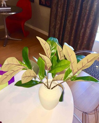 Guest review image 3 of 3, zoom in