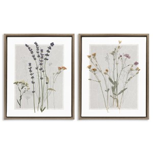 Stupell Industries Delicate Wildflower Herb Sprigs 2pc Floating Frame Art Set - 1 of 4