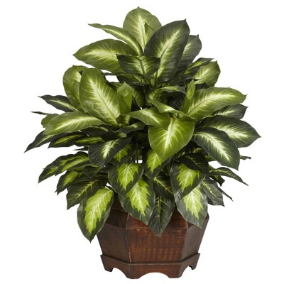 24" x 24" Artificial Golden Dieffenbachia Silk Plant in Wooden Pot - Nearly Natural