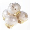 Van Zyverden 5ct Bulbs Allium Purple Rain - 4 of 4