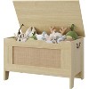 Farmhouse Storage Chest with Safety Hinge - Wide Entryway Bench with U-Shaped Cut-Out, Shoe Storage Trunk for Living Room - 2 of 4