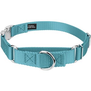 Country Brook Petz Heavyduty Nylon Martingale with Premium Buckle - 1 of 4