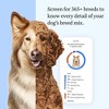 Wisdom Panel Premium Dog DNA Kit:Most Comprehensive with 265+ Health Tests,Identify 365+Dog Breeds,50+ Traits,Relatives,Ancestry,Genetic Diversity - 2 of 4