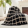 Amelie Home Reversible Plush Knit Throw Blanket - Soft & Cozy Feather Yarn Design - 2 of 4