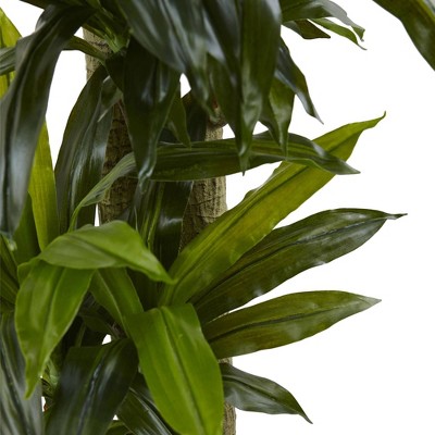 5.5ft Green Artificial Corn Stalk Dracaena with Black Planter