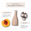 SHIBUI Conscious Color Care Everydayness Shampoo & Conditioner (12 oz DUO SET KIT) Gentle Hair Care - 3 of 4