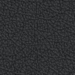 central florida golden knights