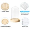 Unique Bargains Wooden Base Plants Home Decor Glass Bell Jar Display Case - 3 of 4