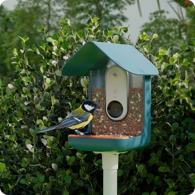 Bird Buddy Outdoor Bird Feeder Kit 9&#34; - Blue_5