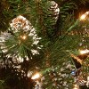 9" Prelit Glittery Pine Artificial Garland with Pine Cones & Snowflakes White Lights - National Tree Company - 3 of 3