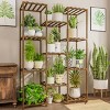 SEVOBAL Plant Stand Indoor Homroll Large 11 Tier Tall Carbonized Wood Plant Stands Shelf for Outdoo Durable and DIY Plant Holder Multi Flower Stands - 2 of 4