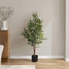 GlasFlength Artificial Plants Artificial Rubber Tree Artificial Acacia Tree Faux Plants for Indoor Home Decoration, Green, 23"*21"*47" - 2 of 4