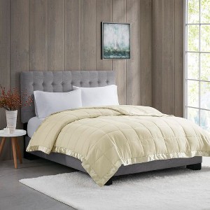 MAXZZZ Lightweight Down Alternative Blanket with Satin Trim - 1 of 1