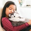 FAO Schwarz 10" Big Tails Husky Plush - 2 of 4