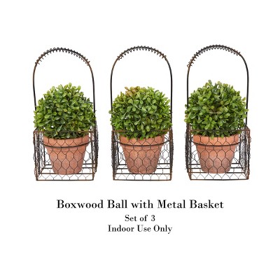 Lifelike Boxwood Trio Topiary in Rustic Terra Cotta-Color Pots