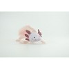 Axolotl, Pink, Ambystoma mexicanum, Rubber Salamander, Museum Quality, Hand Painted, Realistic Amphibian, Toy, 7 Inches Long. CH1021 BB217 - 4 of 4