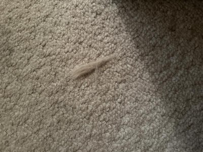 Guest review image 5 of 6, zoom in