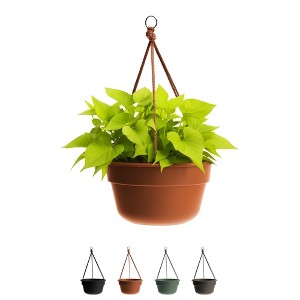 Bloem 12" Dura Cotta Round Resin Self-Watering Hanging Basket Planter with Macrame Cord - 1 of 4