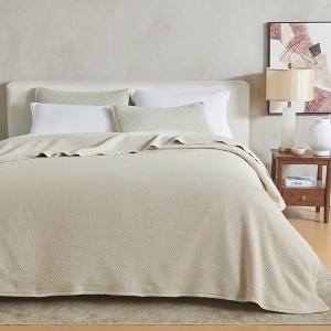 Ultra-Soft Stonewashed Quilt & Sham Set - Great Bay Home - 1 of 4
