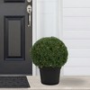 Northlight 20" Pre-Lit Artificial Boxwood Ball Topiary in Round Pot, Clear Lights - 2 of 4