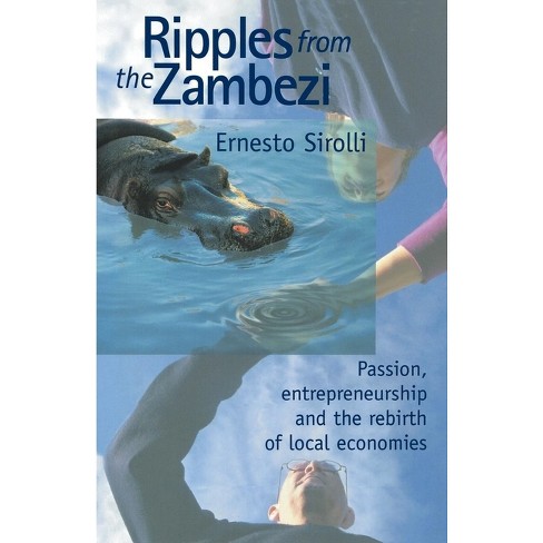 Ripples in the Fabric of the Universe - by Jim Tilley (Paperback)