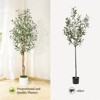 Garvee 5/6/7ft Artificial Olive Trees - Faux Silk Plants in White Planters with Wood Trunk & Moss, for Home/Office Decor, 1/2 PCS - 2 of 4
